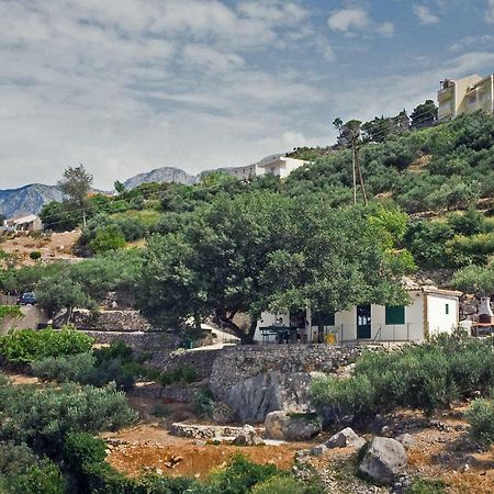 Villa " Davorka" بودغورا المظهر الخارجي الصورة