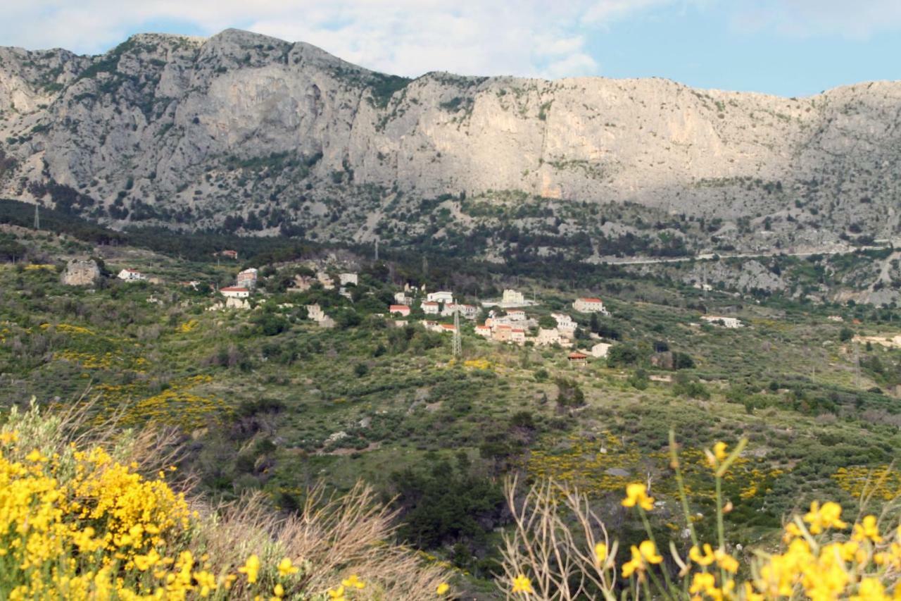 Villa " Davorka" بودغورا المظهر الخارجي الصورة