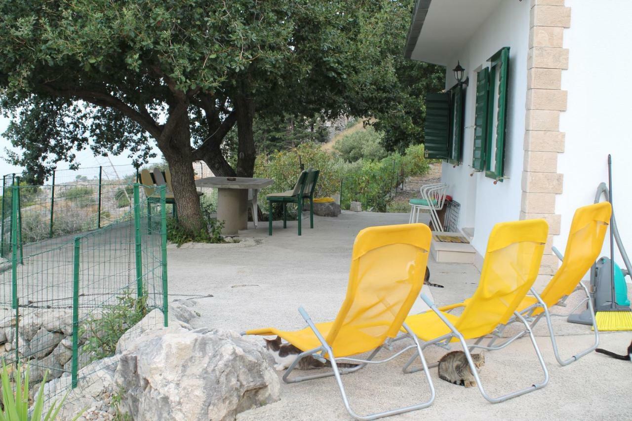 Villa " Davorka" بودغورا المظهر الخارجي الصورة