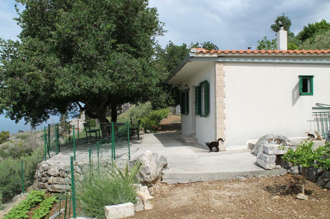 Villa " Davorka" بودغورا المظهر الخارجي الصورة