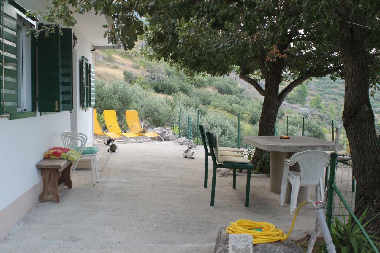 Villa " Davorka" بودغورا المظهر الخارجي الصورة