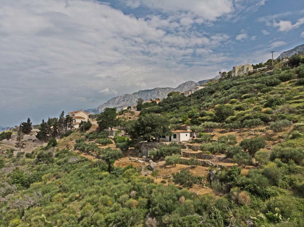 Villa " Davorka" بودغورا المظهر الخارجي الصورة